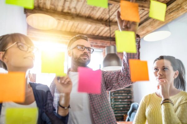 Agency – Contributing Partner