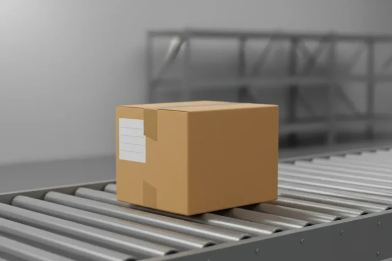 Single cardboard box with blank label on a roller conveyor, soft gray warehouse background—streamlined ecommerce fulfillment.